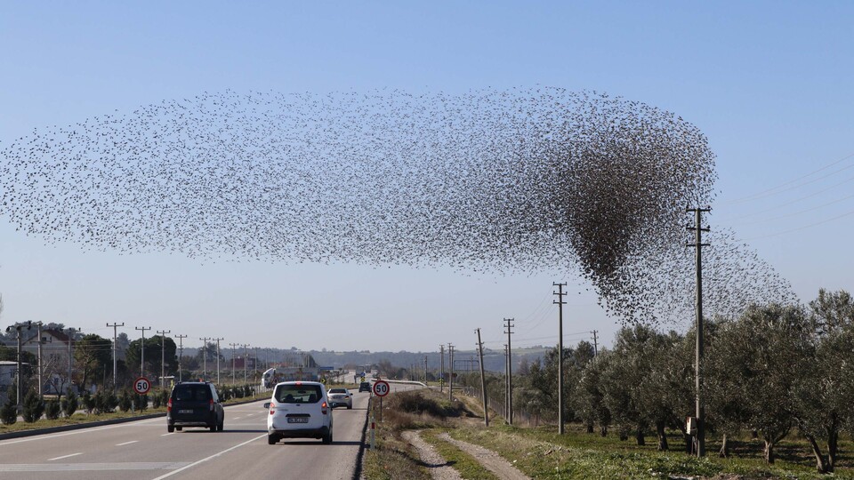 Gökyüzü birden karardı... Sürücüler telefonlara sarıldı!