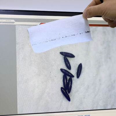 Hazır olun bu yaz rahat yok!