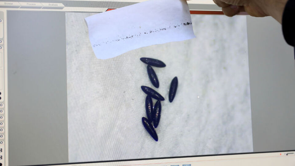 Hazır olun bu yaz rahat yok!