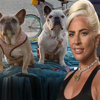 "Adını gizli tutacağız"