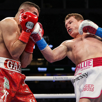 Avni Yıldırım, Canelo'ya kaybetti