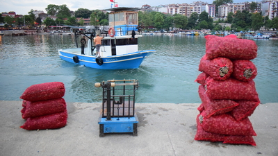 Ocakta 257 bin ton ihraç edildi