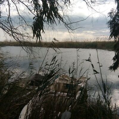 Gölde balık avı faciayla bitti