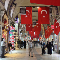 Sadece Çin ve Türkiye büyüdü