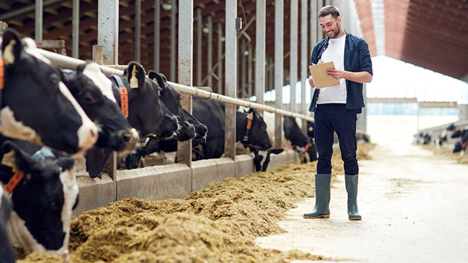 Ziraat Bankası'ndan hayvancılığa destek