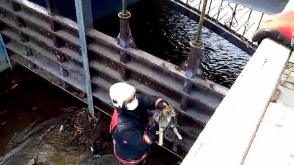 Kanalda mahsur kaldı, itfaiye kurtardı