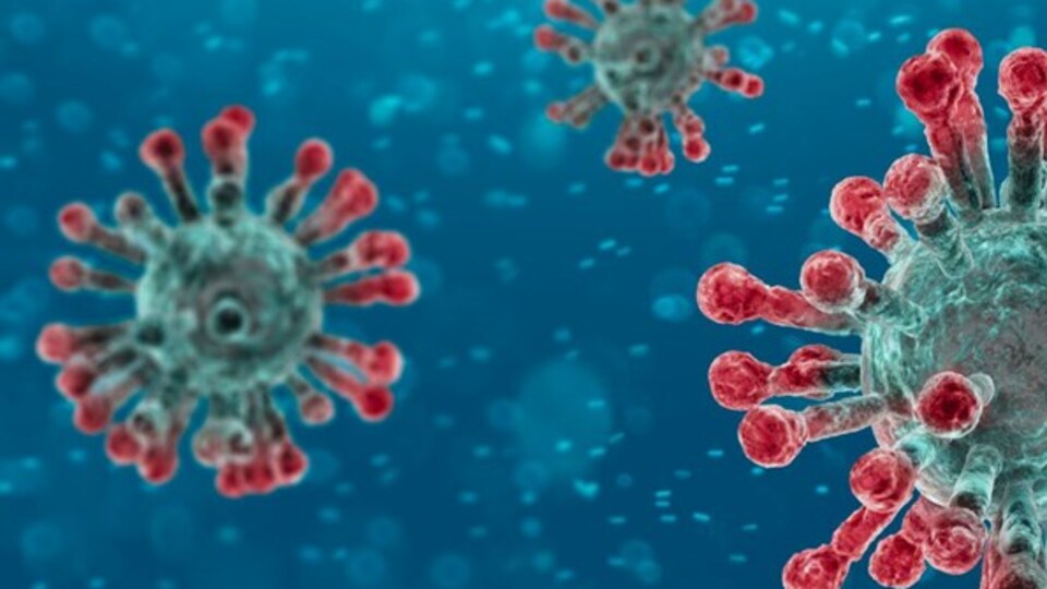 Corona virüs belirtileri nelerdir?