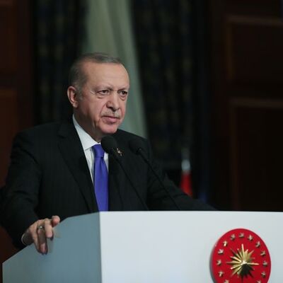Cumhurbaşkanı Erdoğan, İnsan Hakları Eylem Planı'nı açıklayacak