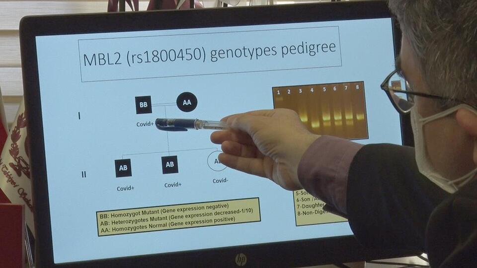 Lektin Proteini nedir, hangi besinlerde bulunur?