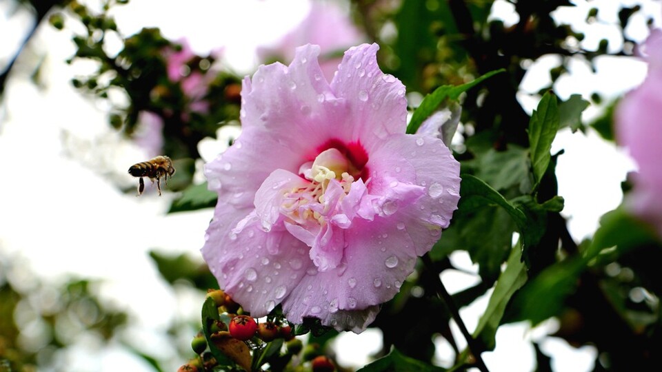 2021 Üçüncü Cemre ne zaman düşecek?