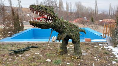 Araziden topladı... Evinin bahçesinde yaptı!