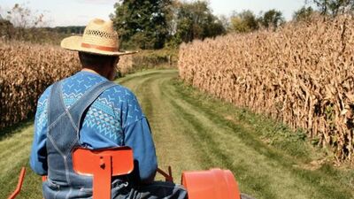 Çiftçiye mazot gübre desteği ödemeleri yattı mı?