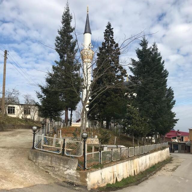 Mezar taşı söken kardeşlerin hapsi istendi