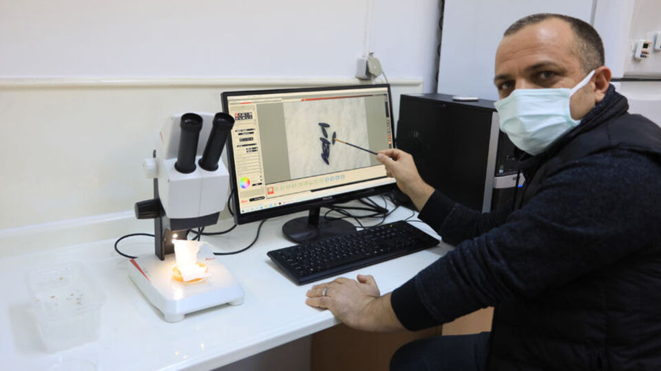 Sivrisinek 'Kovid'i taşır mı? İşte cevabı!