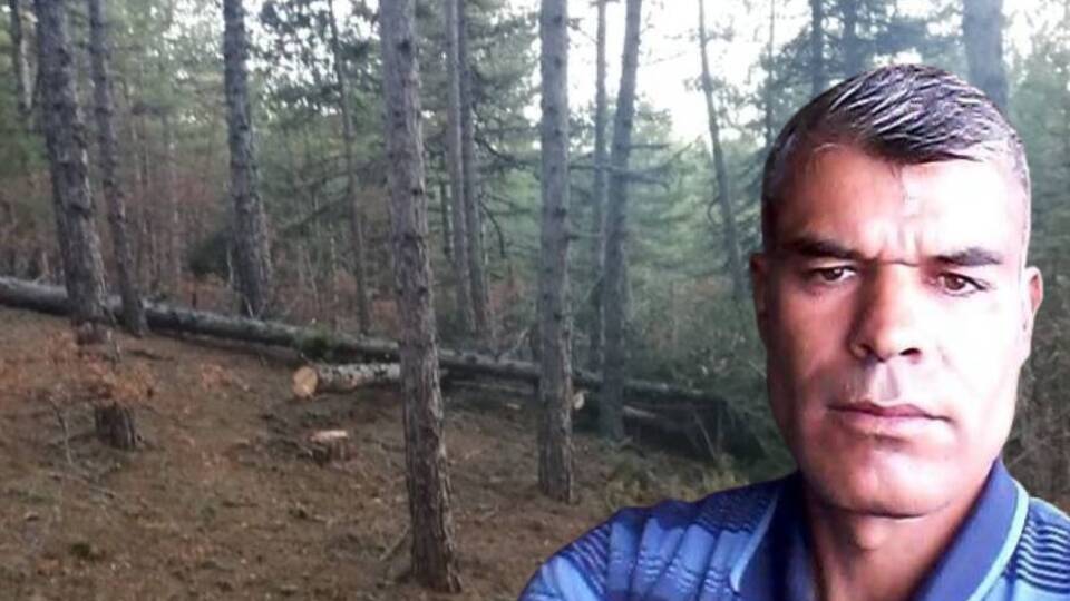 Kestiği ağaç sonu oldu