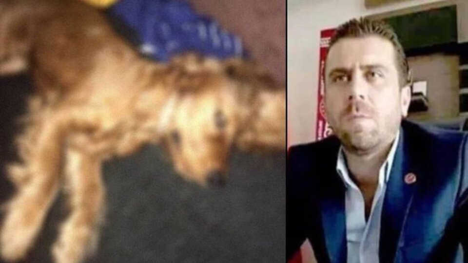 Emanet köpeğe tecavüz iddiasında flaş gelişme!