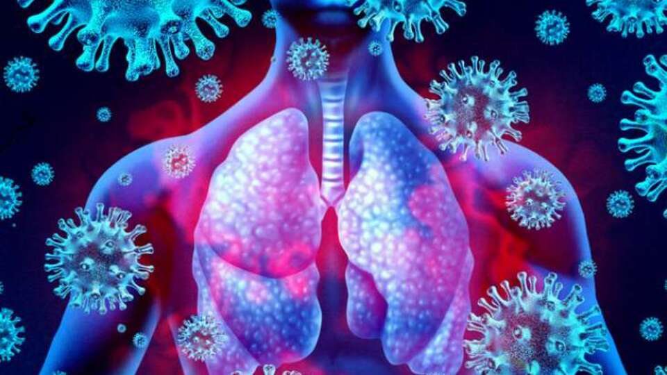 Corona virüs belirtileri nedir?