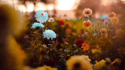 2021 Üçüncü Cemre ne zaman düşecek?