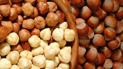 Güncel fındık fiyatları ne kadar?