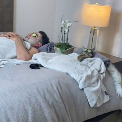 TikTok'ta paylaşıldı! 60 milyondan fazla izlendi