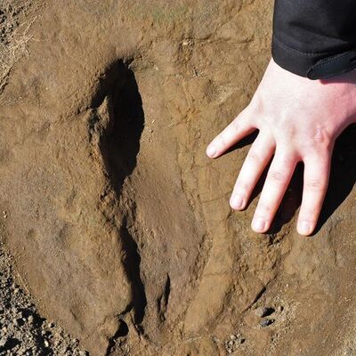 5 bin yıllık çıktı... Yeri gizli tutuluyor