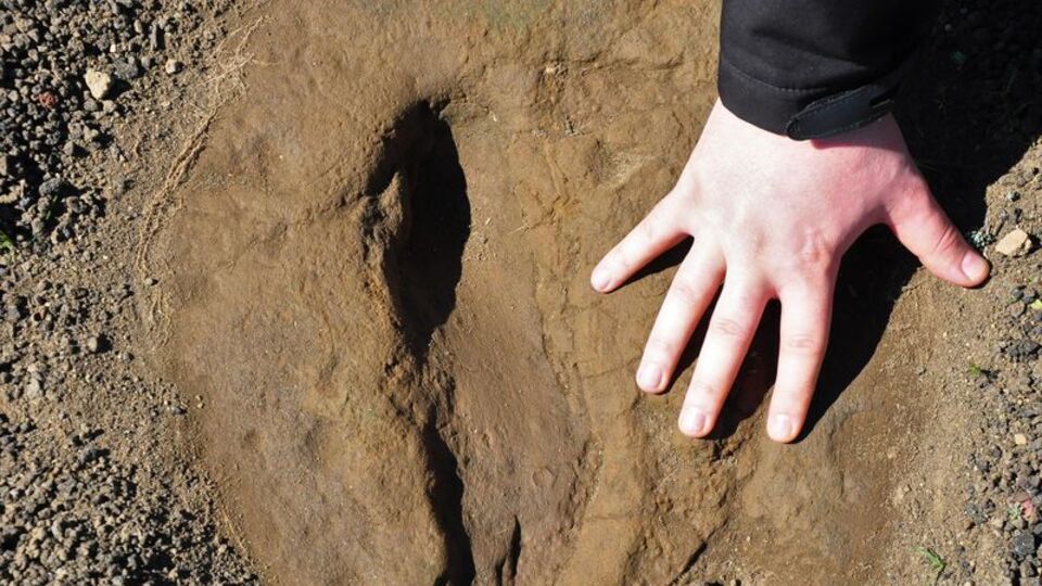 5 bin yıllık çıktı... Yeri gizli tutuluyor