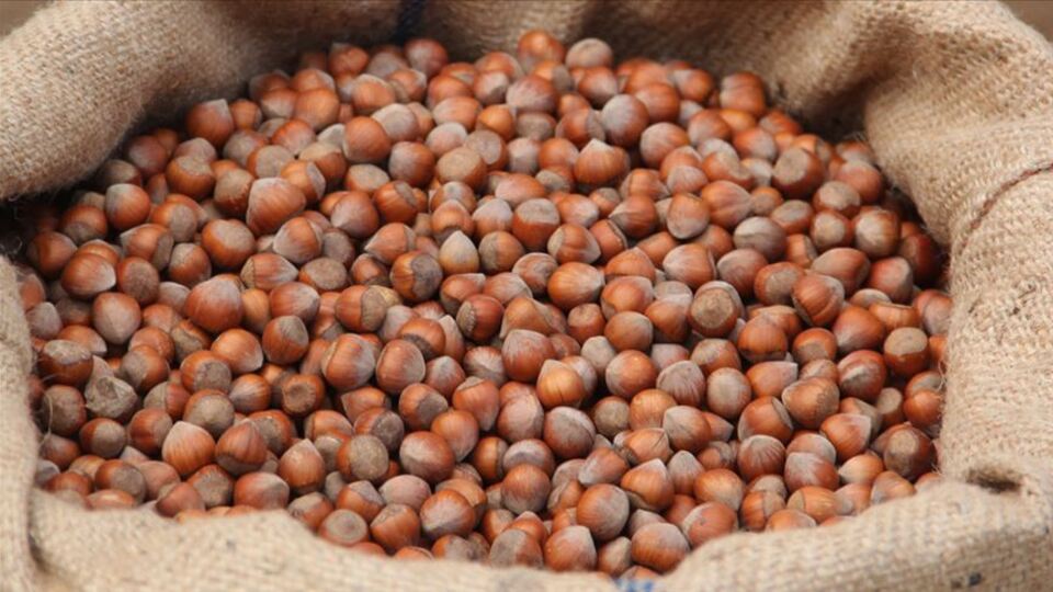 2021 İl il fındık fiyatları ne kadar?