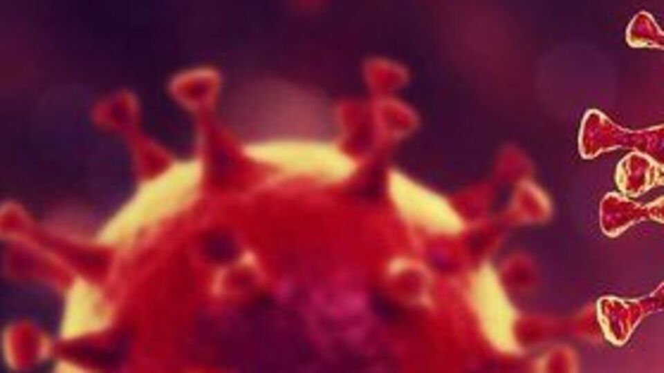 Corona virüs belirtileri nedir?