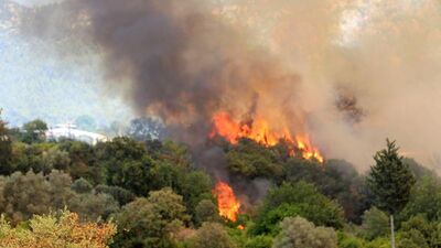Hırsızlıktan yakalandı, kundakçı terörist çıktı