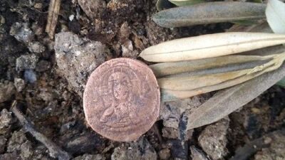 Ağacın dibinde buldu! İncelemeye alındı