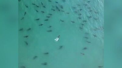 Drone ile görüntülendi... Panik yarattı