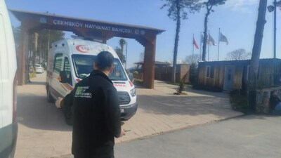 İstanbul'da hayvanat bahçesinde dehşet: 2 ölü!