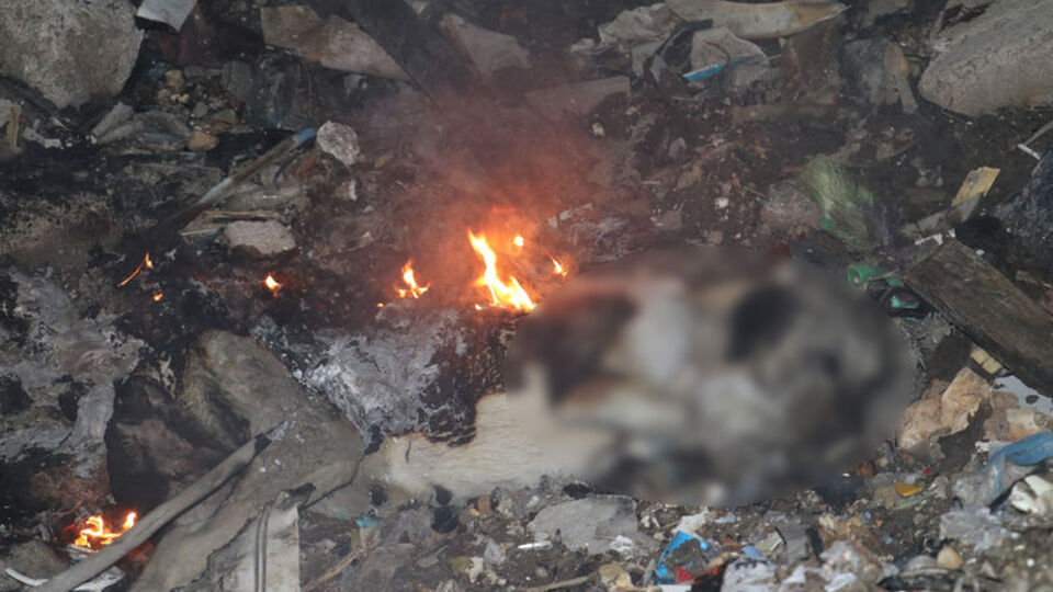 Çöplükte yanmış köpek ölüsü bulundu