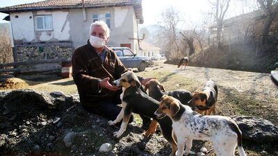 Sokak köpekleri için köyden ayrılmadı