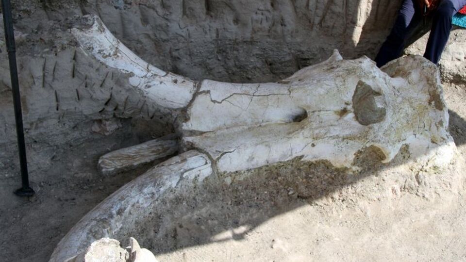 Kayseri'yi dünya literatürüne yerleştirecek