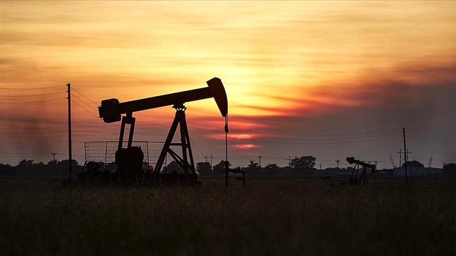 OPEC: Küresel petrol talebi artacak