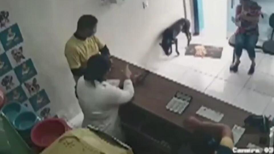 Topallayarak kapıdan girdi ve... İnternetin konuştuğu köpek!