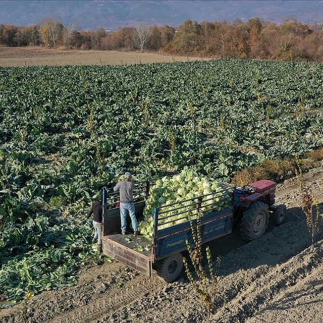 'Borsa altyapısı oluşturulmalı'