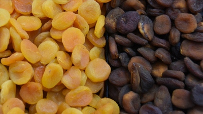 İhracat değeri arttı