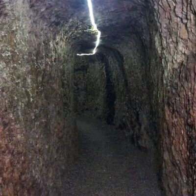 Tesadüfen keşfedilmişti... "Farklı bir dünyaya kapıları açıyor"