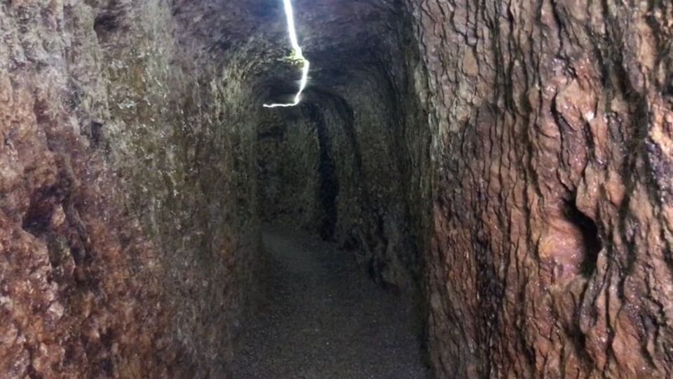 Tesadüfen keşfedilmişti... "Farklı bir dünyaya kapıları açıyor"