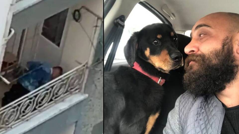 Balkondaki şiddetten güzel haber!