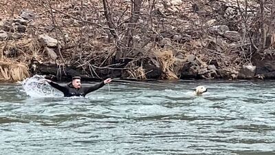 Buz gibi suya atladı... Herkes izlerken köpeği o kurtardı