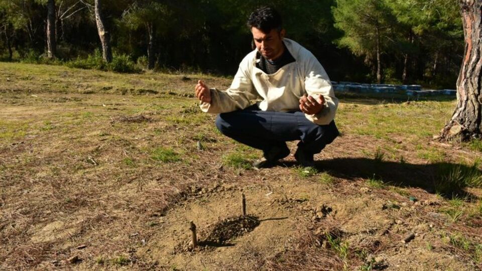 Binlercesi öldü! 'Umutlarımı da gömdüm'
