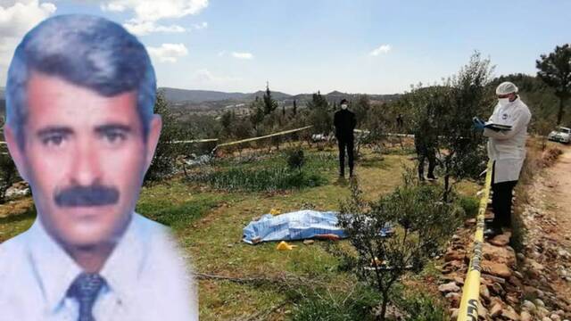 Zeytin ağacı tartışmasında ağabeyini öldürdü