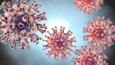 Corona virüs belirtileri nedir?