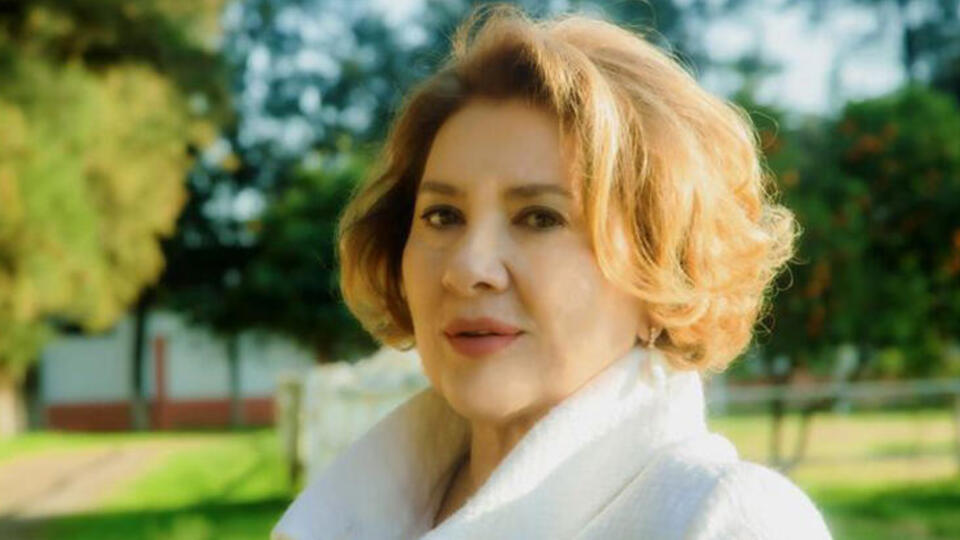 Hülya Darcan kimdir?