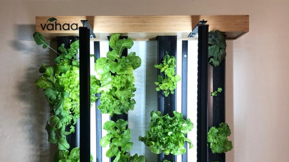 Vahaa'ya 14 milyon TL'lik yatırım geldi