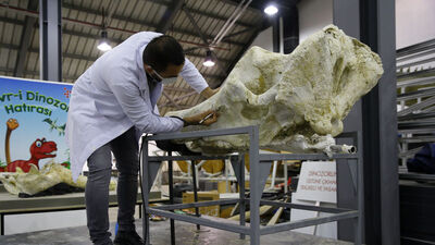 Kayseri'de keşfedildi... 5 farklı tür bir arada!