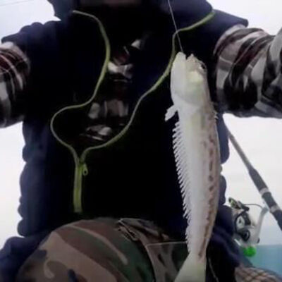 Yakaladığına bin pişman oldu!